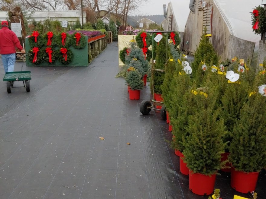 Jeff's Green Houses & Gift Shop