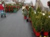 Jeff's Green Houses & Gift Shop