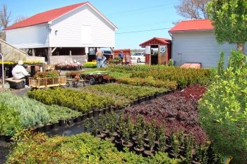 Jeff's Green Houses & Gift Shop