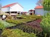 Jeff's Green Houses & Gift Shop