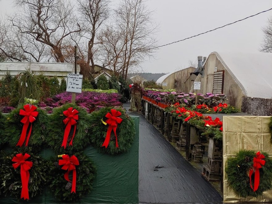 Jeff's Green Houses & Gift Shop