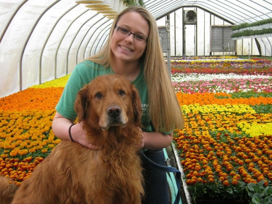 Jeff's Green Houses & Gift Shop