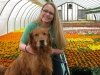 Jeff's Green Houses & Gift Shop