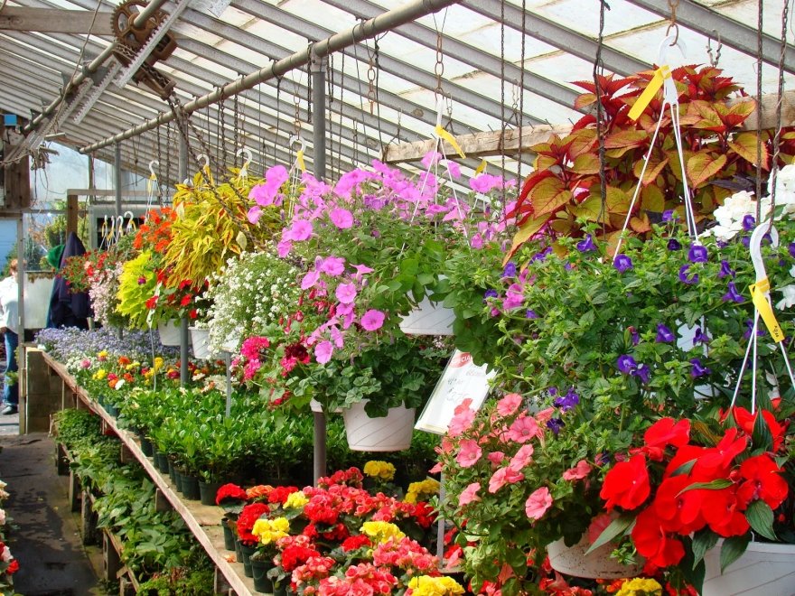 Jeff's Green Houses & Gift Shop