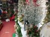Jeff's Green Houses & Gift Shop