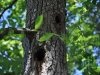 Baldcypress Nature Center