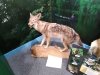 Baldcypress Nature Center