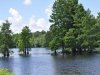 Baldcypress Nature Center
