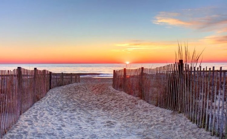 Fresh Craft Beer, Succulent Seafood And Abundant Wildlife Await On Delaware’s Culinary Coast