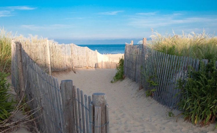 The 10 Best Beaches in Delaware